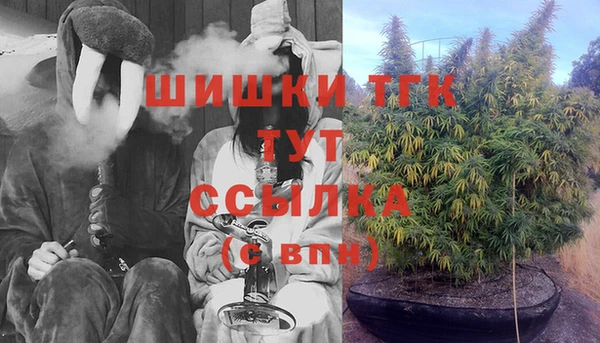 тгк Бугульма